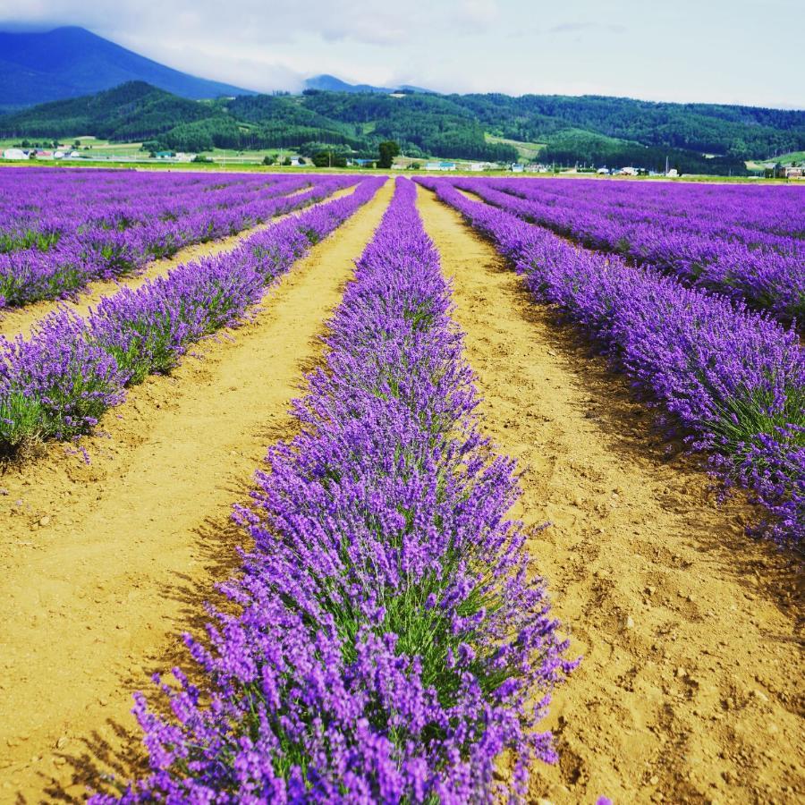 Furano Natulux Hotel Εξωτερικό φωτογραφία